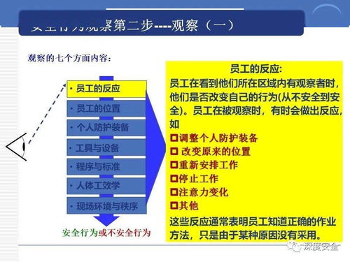 精品ppt 跨国公司安全管理文化分享